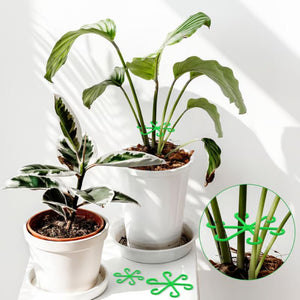 🌿Set di supporti per steli di piante