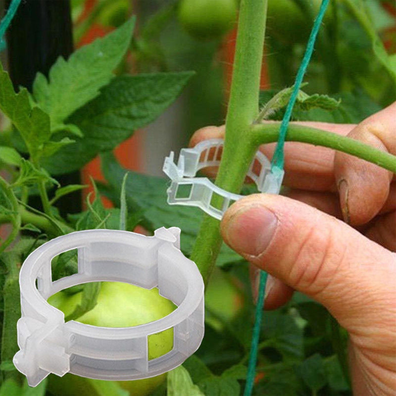 100 Mollette Piante GARDENIX - Clip Per Pomodori, Cetrioli E Orchidee