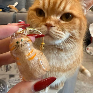 😽Ciondolo ricordo con pelo di gatto carino🎁