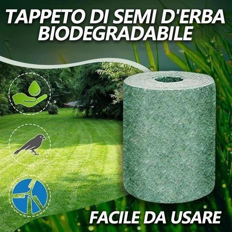 Tappeto Erboso Pronto All'uso GREENYP - Semi Integrati, Biodegradabile, 0,5x40m (20 Mq) | Facile Da Posare, Risparmia Acqua E Tempo