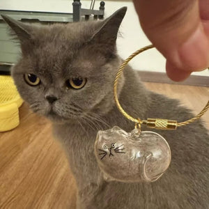 😽Ciondolo ricordo con pelo di gatto carino🎁