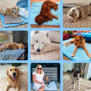 🧊Tappetino rinfrescante per cani (4 volte più efficace)