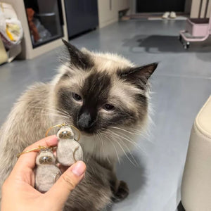 😽Ciondolo ricordo con pelo di gatto carino🎁