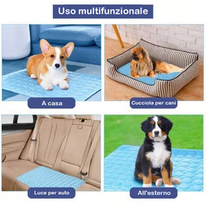 🧊Tappetino rinfrescante per cani (4 volte più efficace)