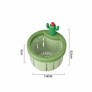 Cactus creativo per un comodo drenaggio