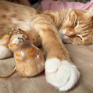 😽Ciondolo ricordo con pelo di gatto carino🎁