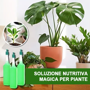 🍀Incredibile fertilizzante liquido idroponico🌱