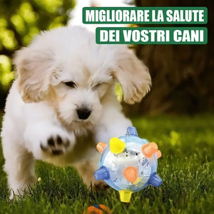 Giocattolo per animali domestici con palla da salto luminosa
