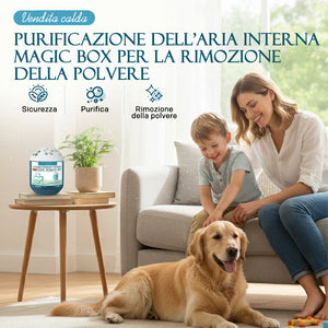 Scatola di rimozione della polvere del purificatore d'aria