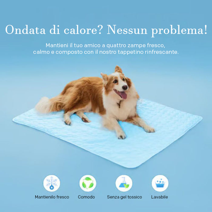 🧊Tappetino rinfrescante per cani (4 volte più efficace)
