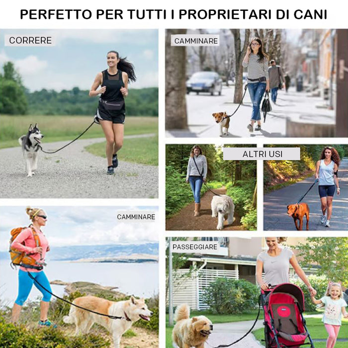 🔥Guinzaglio per cani a mani libere con custodia con cerniera