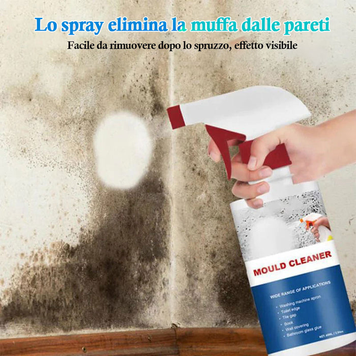 Spray per la rimozione della muffa dalle pareti