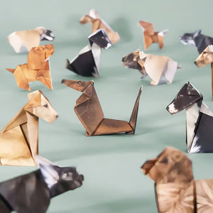 🐱 Gatti di carta pieghevoli in 5 minuti (50 pezzi): non servono colla o forbici