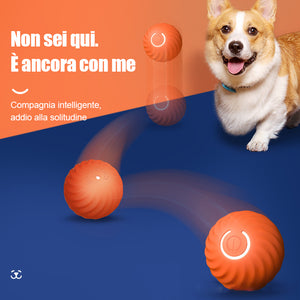 Giocattolo ricaricabile per cani con palla saltatrice