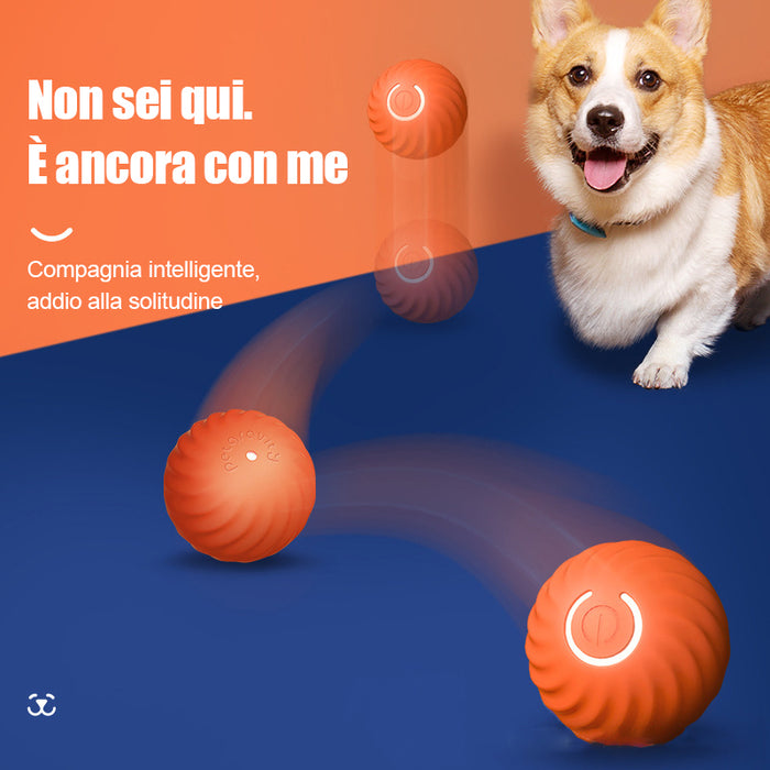Giocattolo ricaricabile per cani con palla saltatrice
