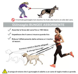 🔥Guinzaglio per cani a mani libere con custodia con cerniera