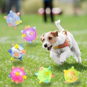 Giocattolo per animali domestici con palla da salto luminosa