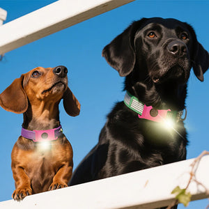 Collare anti-vermi per animali domestici
