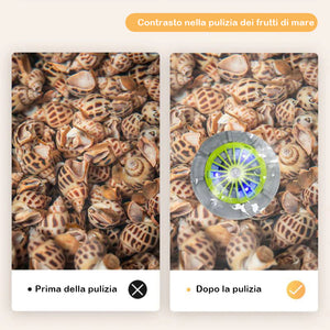 Lavatrici portatili efficienti per frutta e verdura