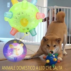 Giocattolo per animali domestici con palla da salto luminosa