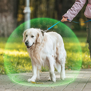 Collare anti-vermi per animali domestici