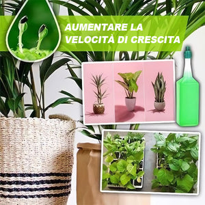 🍀Incredibile fertilizzante liquido idroponico🌱