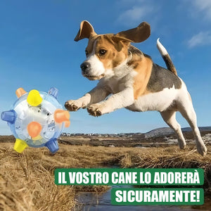 Giocattolo per animali domestici con palla da salto luminosa