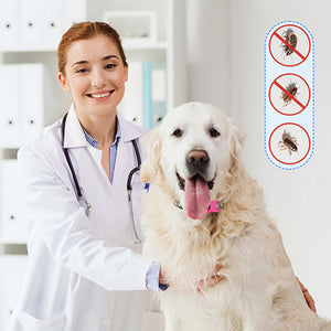 Collare anti-vermi per animali domestici