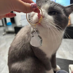 😽Ciondolo ricordo con pelo di gatto carino🎁