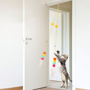 Giocattolo interattivo per gatti che rimbalza sulla porta