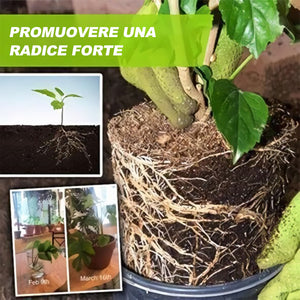 🍀Incredibile fertilizzante liquido idroponico🌱