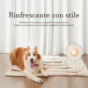 🧊Tappetino rinfrescante per cani (4 volte più efficace)