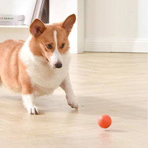 Giocattolo ricaricabile per cani con palla saltatrice