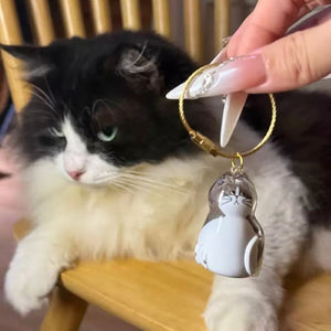😽Ciondolo ricordo con pelo di gatto carino🎁