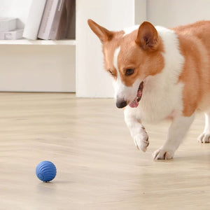 Giocattolo ricaricabile per cani con palla saltatrice