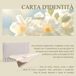Deodorante per auto sospeso Aeroplano di carta