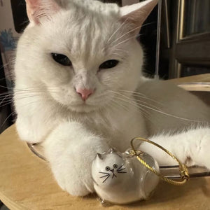 😽Ciondolo ricordo con pelo di gatto carino🎁