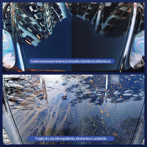 Spray di rivestimento rapido per auto Premium