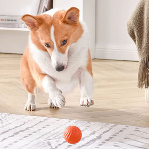 Giocattolo ricaricabile per cani con palla saltatrice