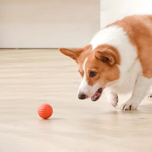 Giocattolo ricaricabile per cani con palla saltatrice