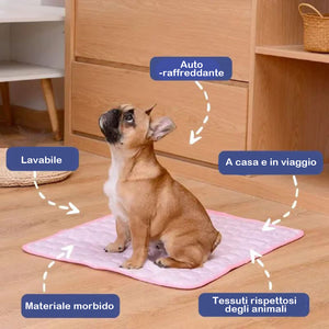 🧊Tappetino rinfrescante per cani (4 volte più efficace)