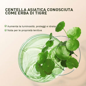 Base trucco Centella asiatica