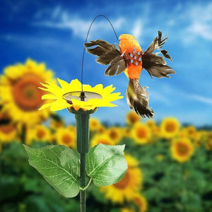 Colibrì Danzante Solare Con Girasole