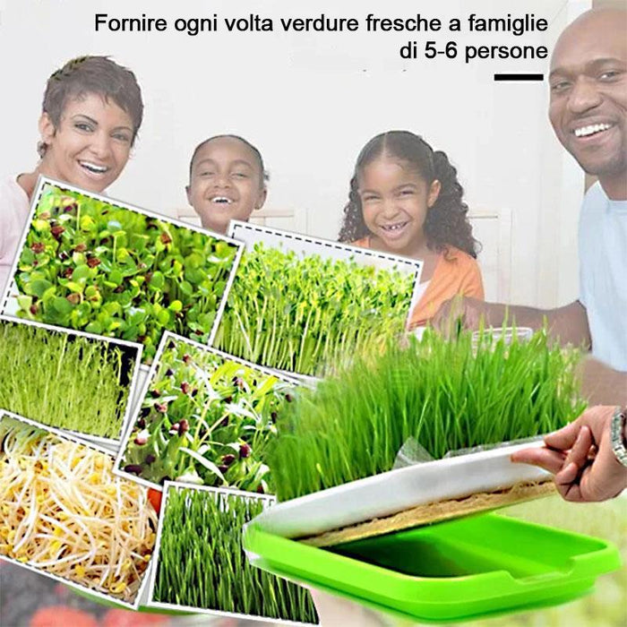 Macchina automatica per la germinazione