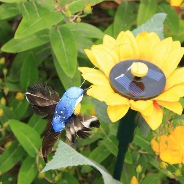 Colibrì Danzante Solare Con Girasole