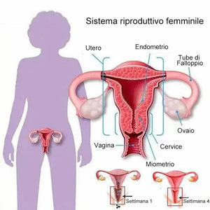 Nessuna traccia di mutandine modellanti per la pancia al grafene