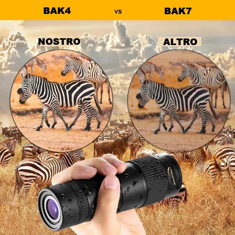 Occhiali Binocolo, Zoom 10X Binocoli a Mani Libere per Pesca, Telescopio a Fuoco Regolabile per Birdwatching Concerti Sportivi Occhiali Binocolo, Zoom 10X Binocoli a Mani Libere per Pesca, Telescopio a Fuoco Regolabile per Birdwatching Concerti Sportivi