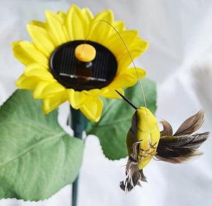 Colibrì Danzante Solare Con Girasole