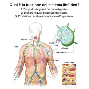 Bracciale di perle per la terapia linfatica